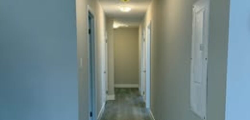 Brand New 2 Bedroom Units!